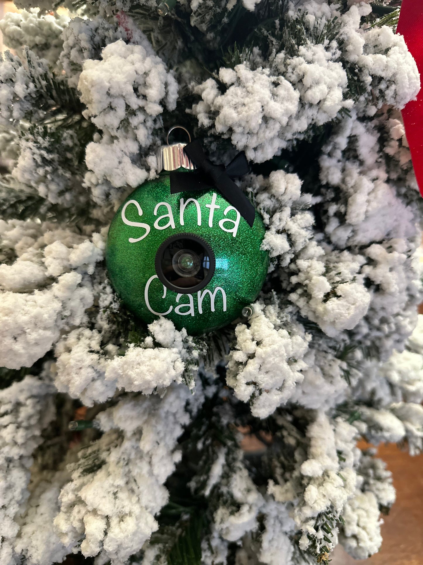 Santa Cam Ornaments