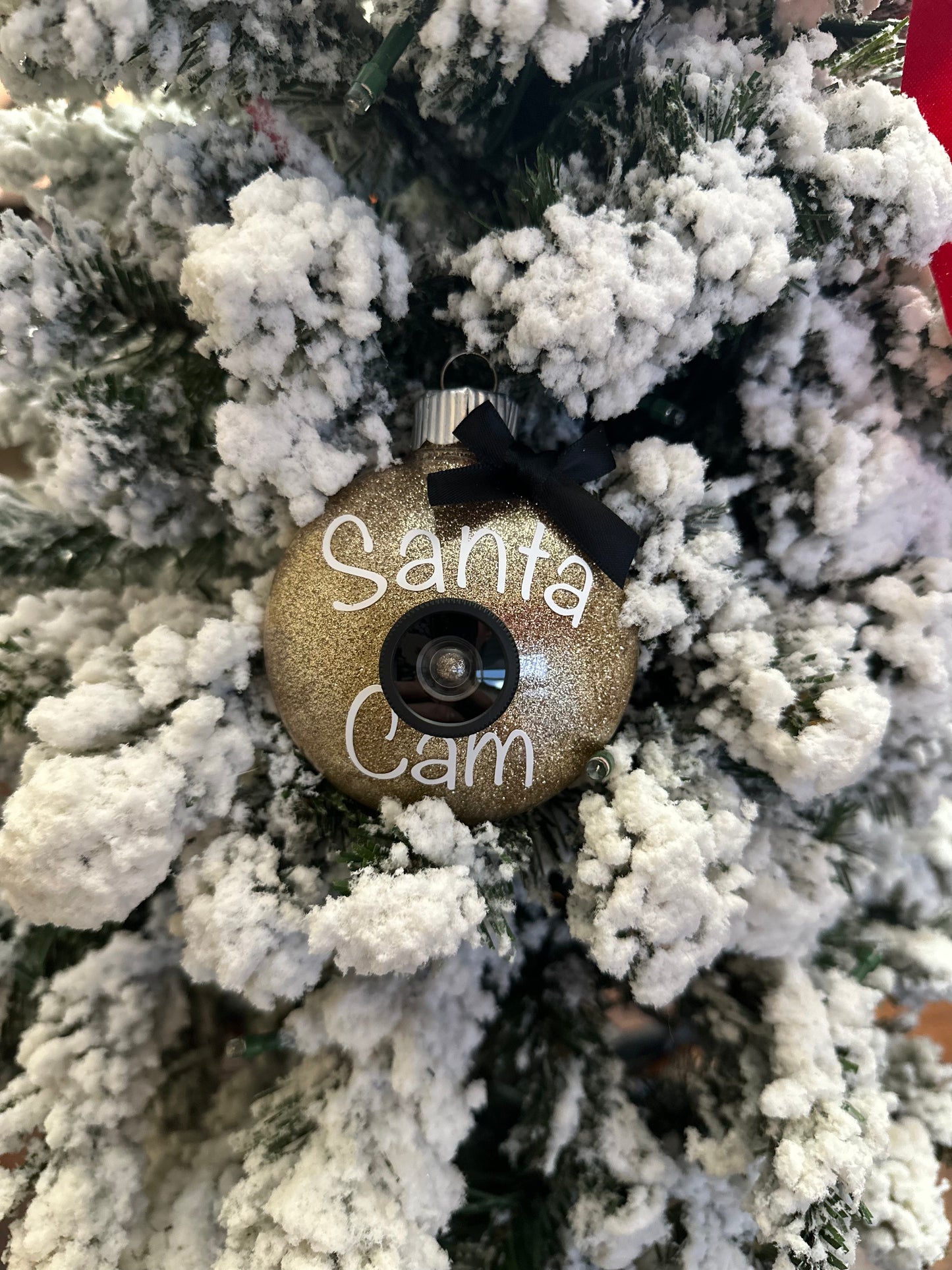 Santa Cam Ornaments