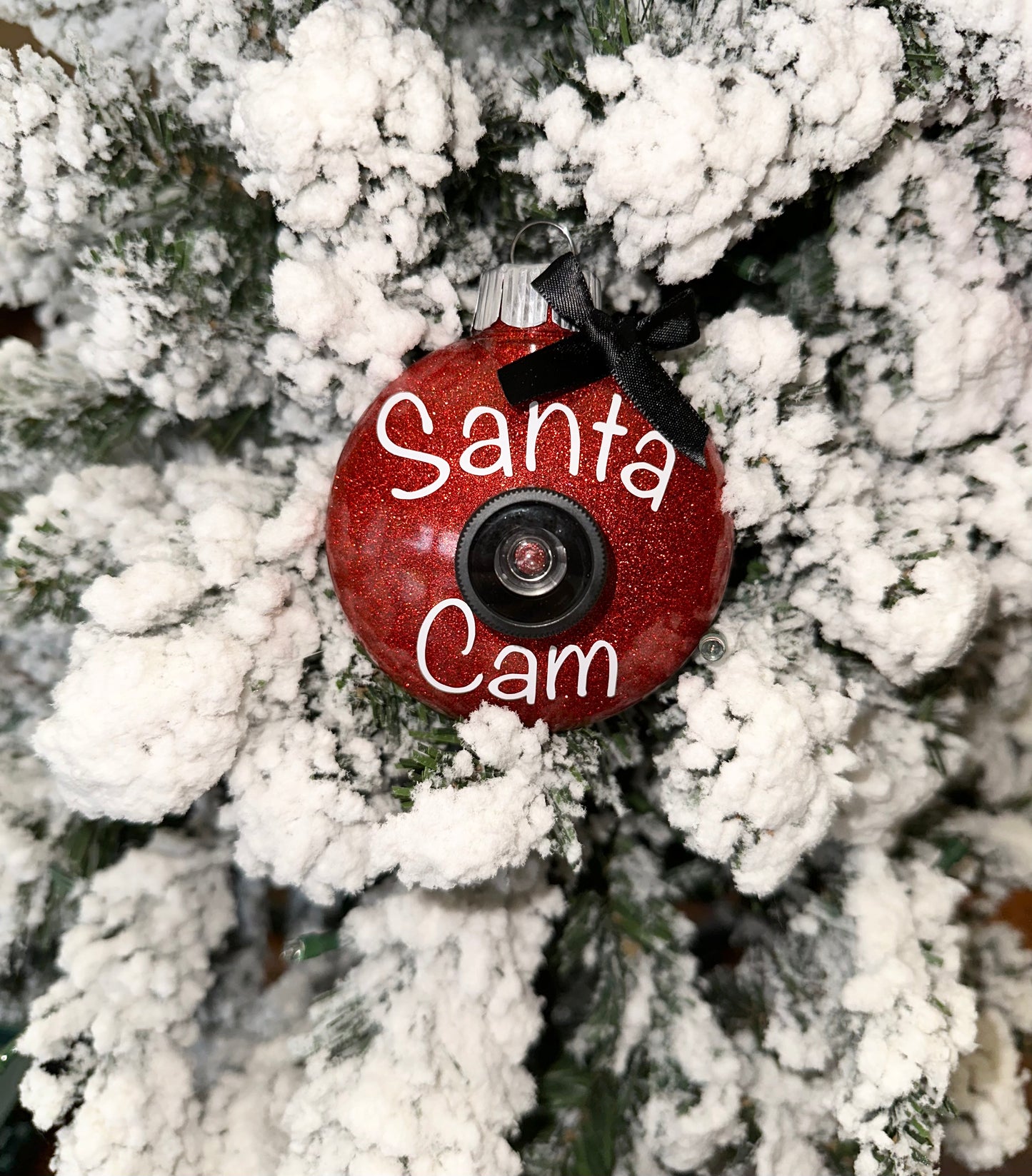 Santa Cam Ornaments