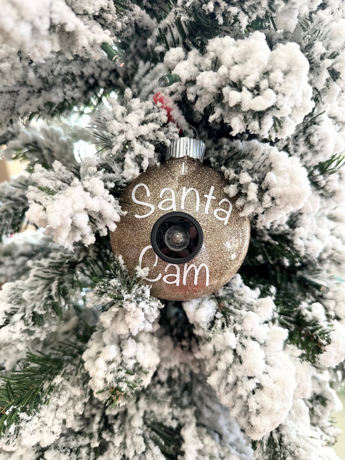 Santa Cam Ornaments