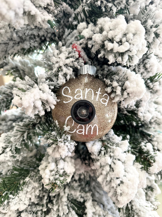 Santa Cam Ornaments