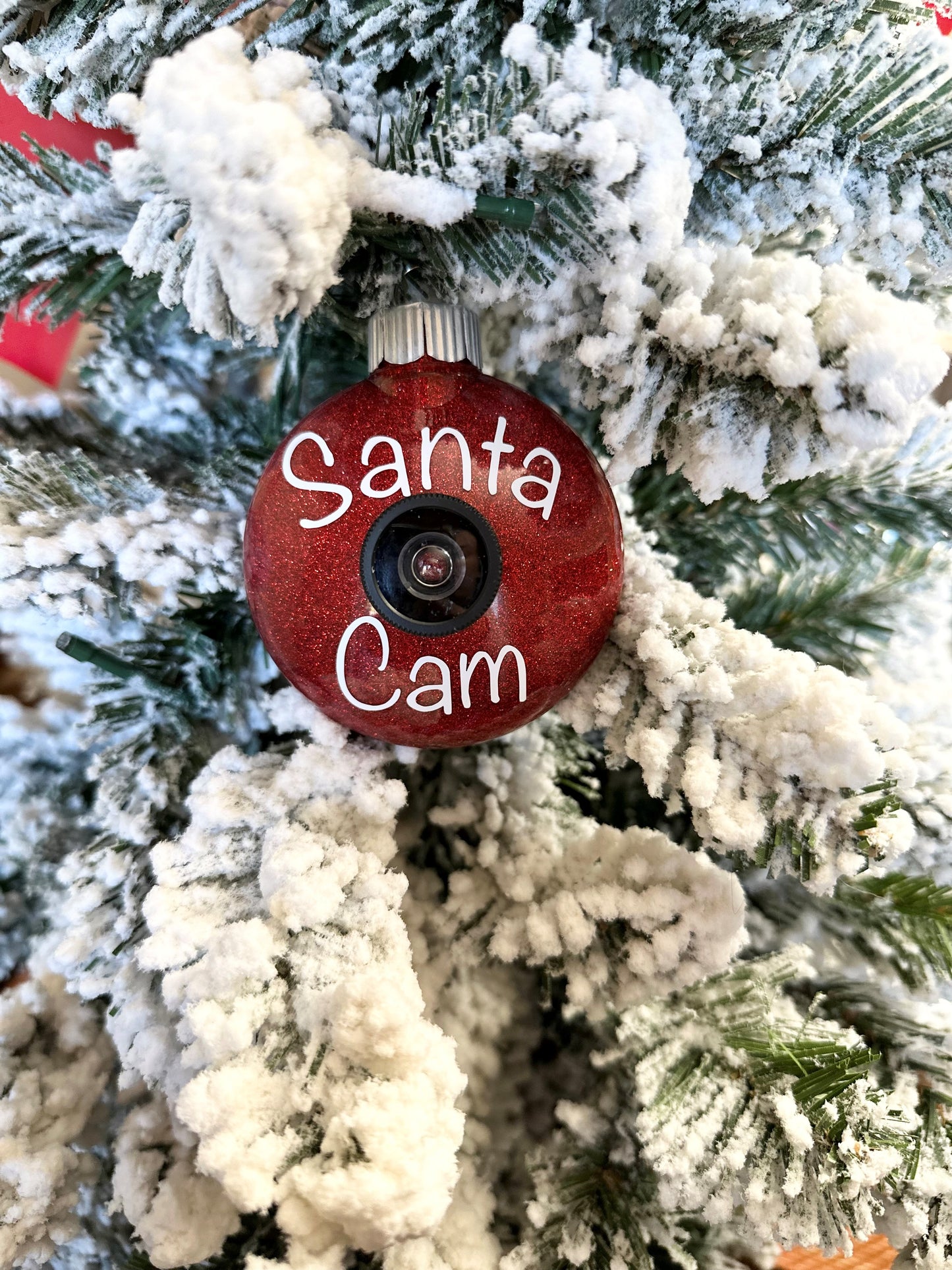 Santa Cam Ornaments